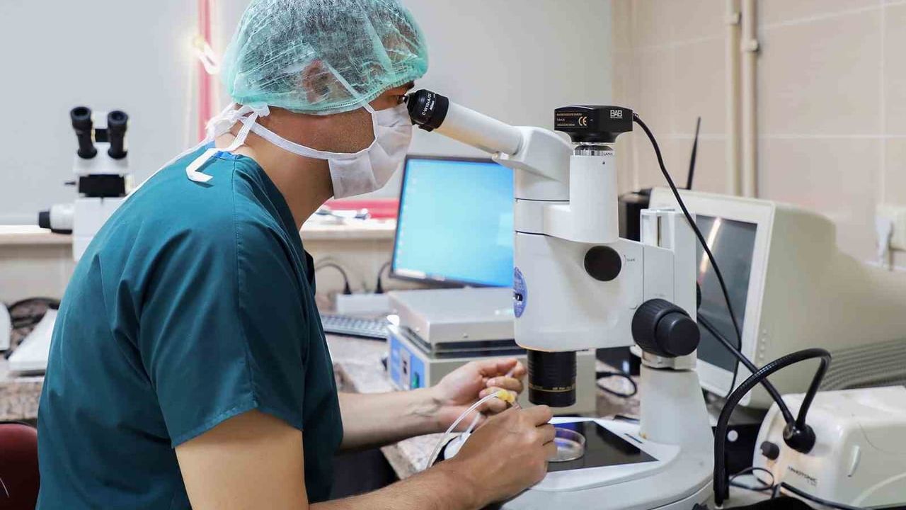 YÖK 2025 Üniversite İzleme ve Değerlendirme Raporu: Atatürk Üniversitesi birçok göstergede öne çıktı