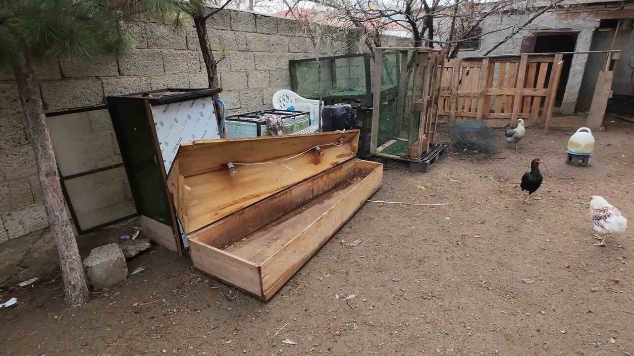 Yozgat'ta geri dönüşüm: Eski tabutlar civcivler için ana kucağına dönüştürüldü