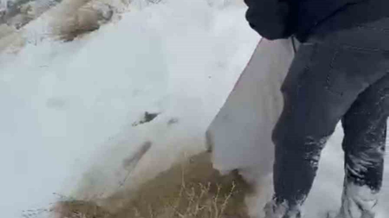 Yüksekova’da ekipler metrelerce karı aşıp dağ keçilerine yem bıraktı