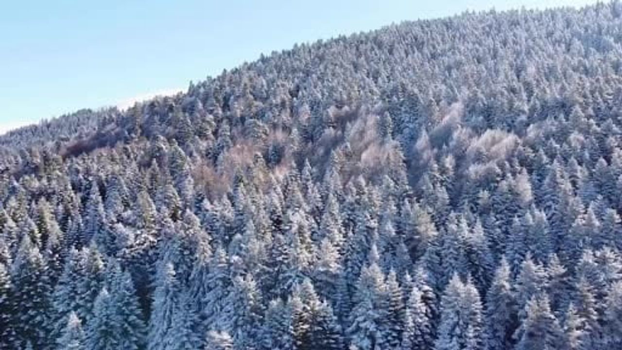 Abant Gölü'nde Kış Manzarası: Bolu'da Karla Kaplanan Milli Park