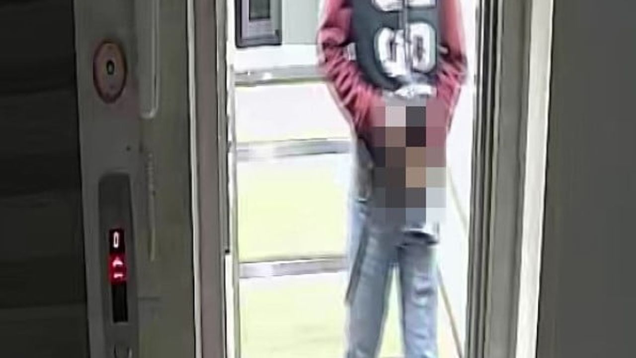 Adana'da asansöre idrar yapan ve binanın damından kuş çaldığı iddia edilen lise öğrencisi tutuklandı