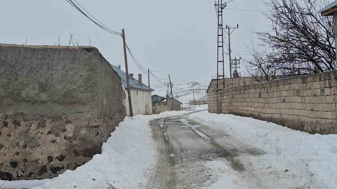 Adilcevaz'a Bağlı Kömürlü Köyü, Köpekte Kuduz Tespiti Üzerine Karantinaya Alındı