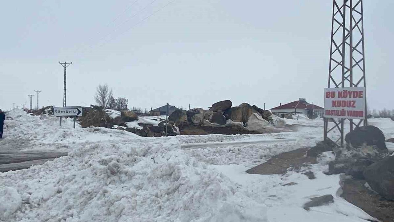 Adilcevaz'da Kömürlü Köyü Karantinaya Alındı — Köpek Numunelerinde Kuduz Tespit Edildi