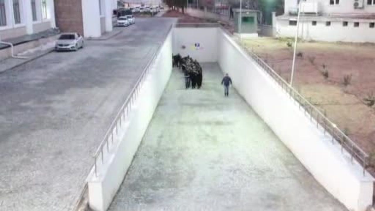 Adıyaman'da 32 adrese operasyon: 21 gözaltı, 14 tutuklama