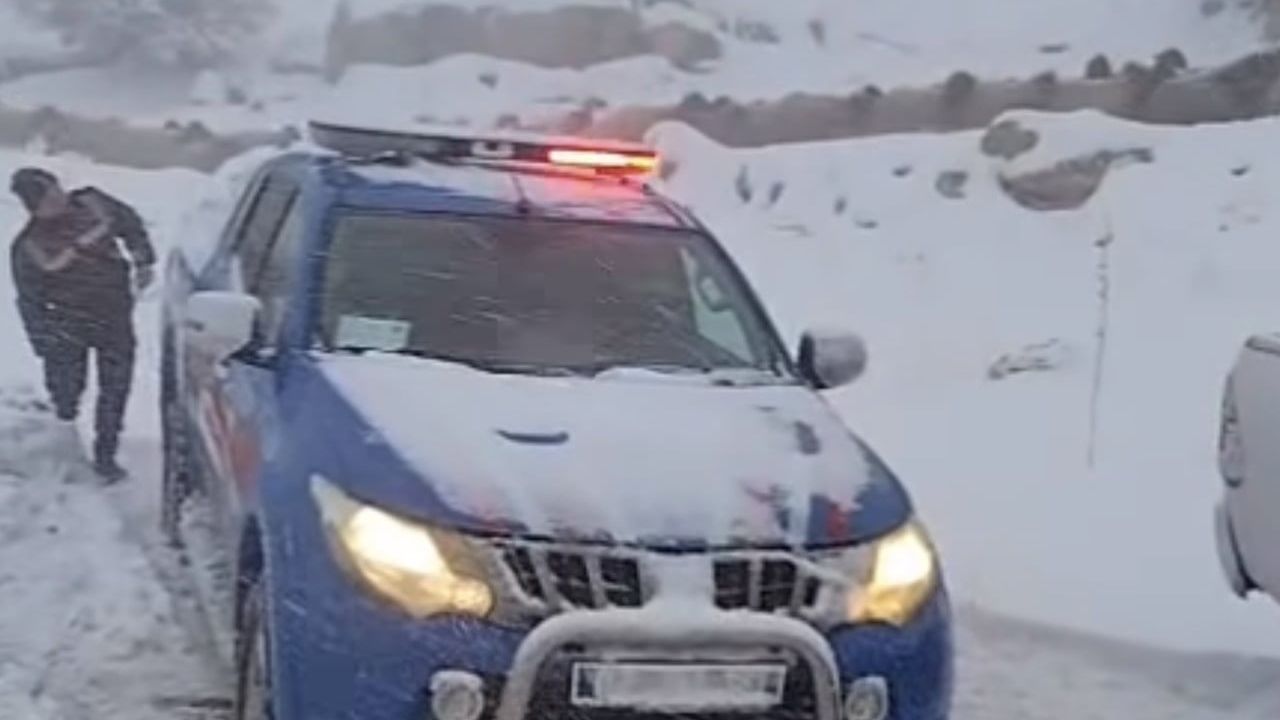 Adıyaman'da dağda mahsur kalan 2 çoban ve 800 koyun kurtarıldı