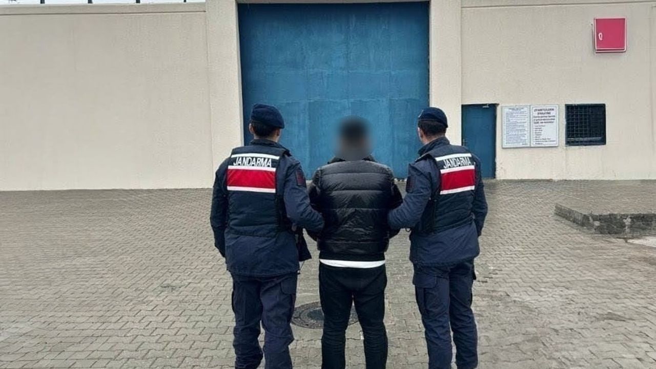 Adıyaman'da jandarma operasyonu: 41 yakalama, 11 tutuklama