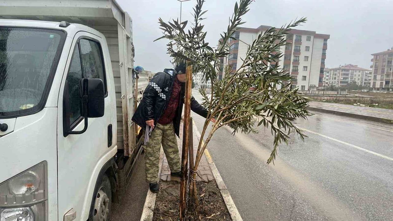 Adıyaman'da mevsimlik bakım ve güçlendirme seferberliği