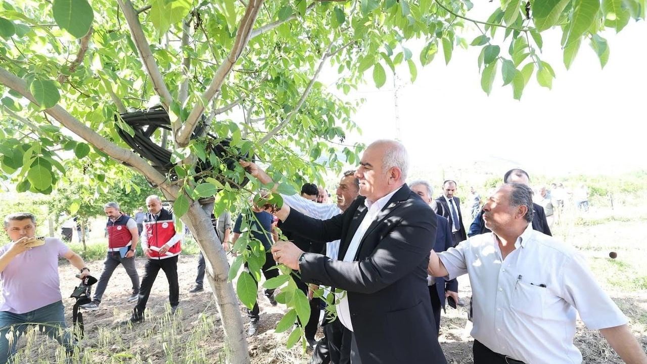 Adıyaman’da Trabzon hurması, dut ve incire 6 milyon TL zirai don desteği ödemesi başladı