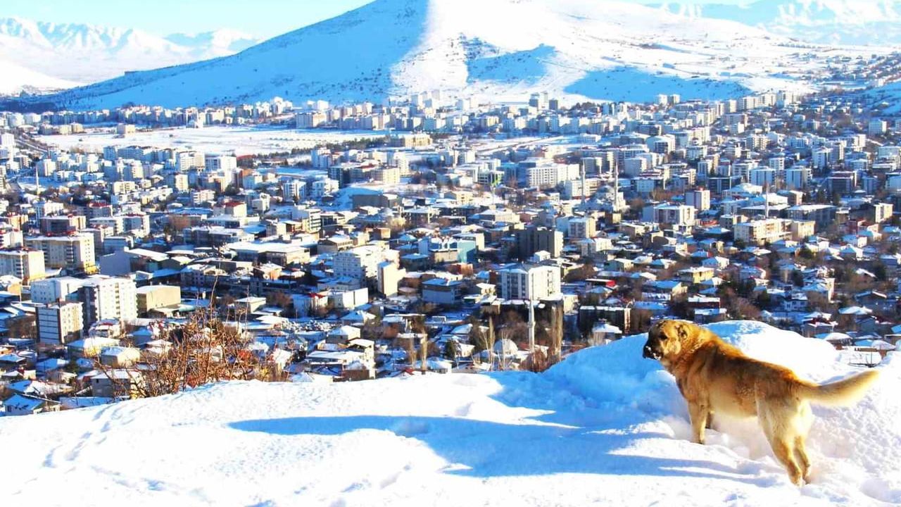 Afşin'de Kar Yağışı İlçeyi Beyaza Bürüdü