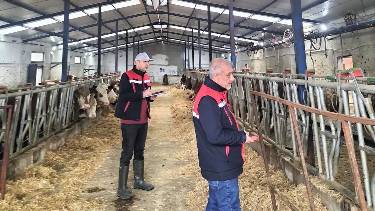 Afyonkarahisar'da besicilik işletmelerine yönelik kapasite ölçümleri sürüyor