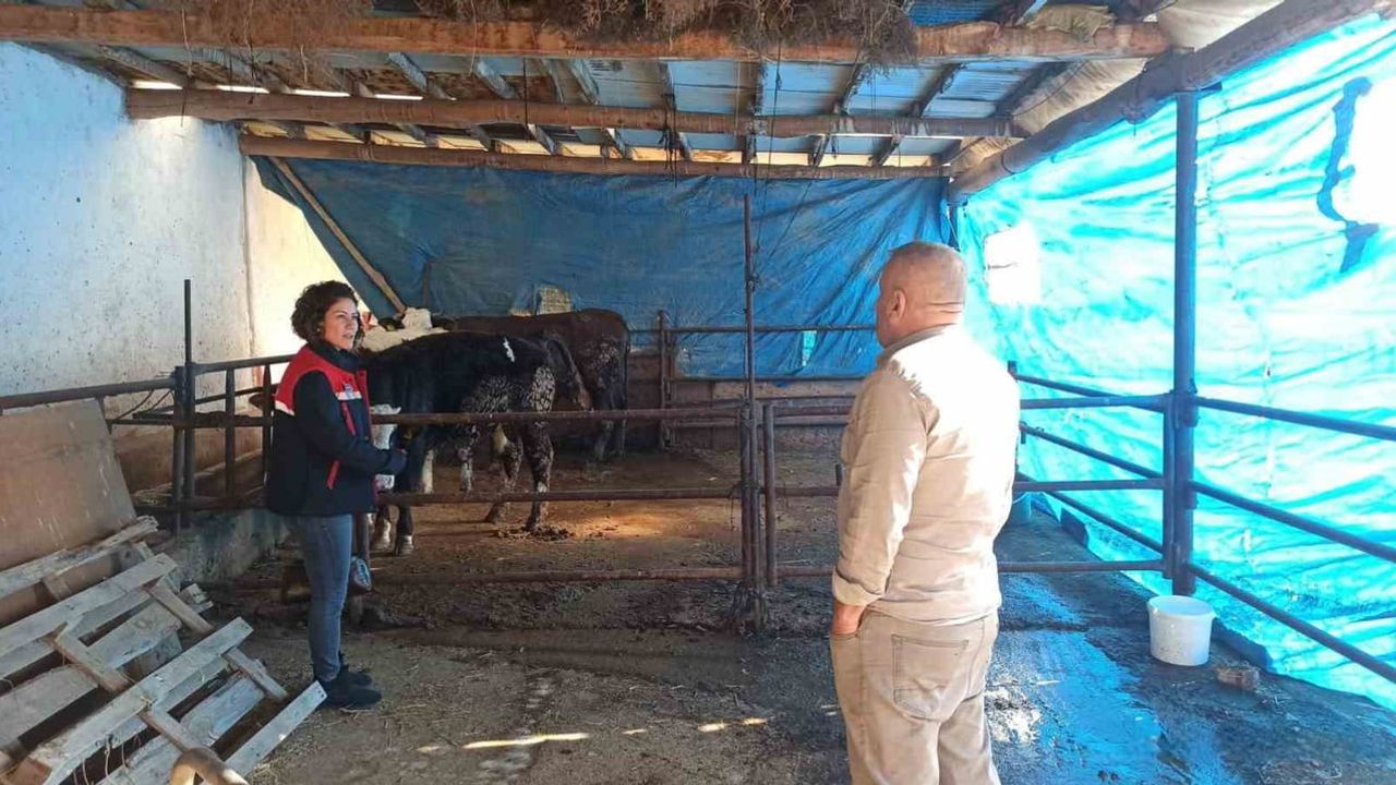 Afyonkarahisar'da ÇMVA Kapsamında Besicilik İşletmelerine Ziyaretler Sürüyor