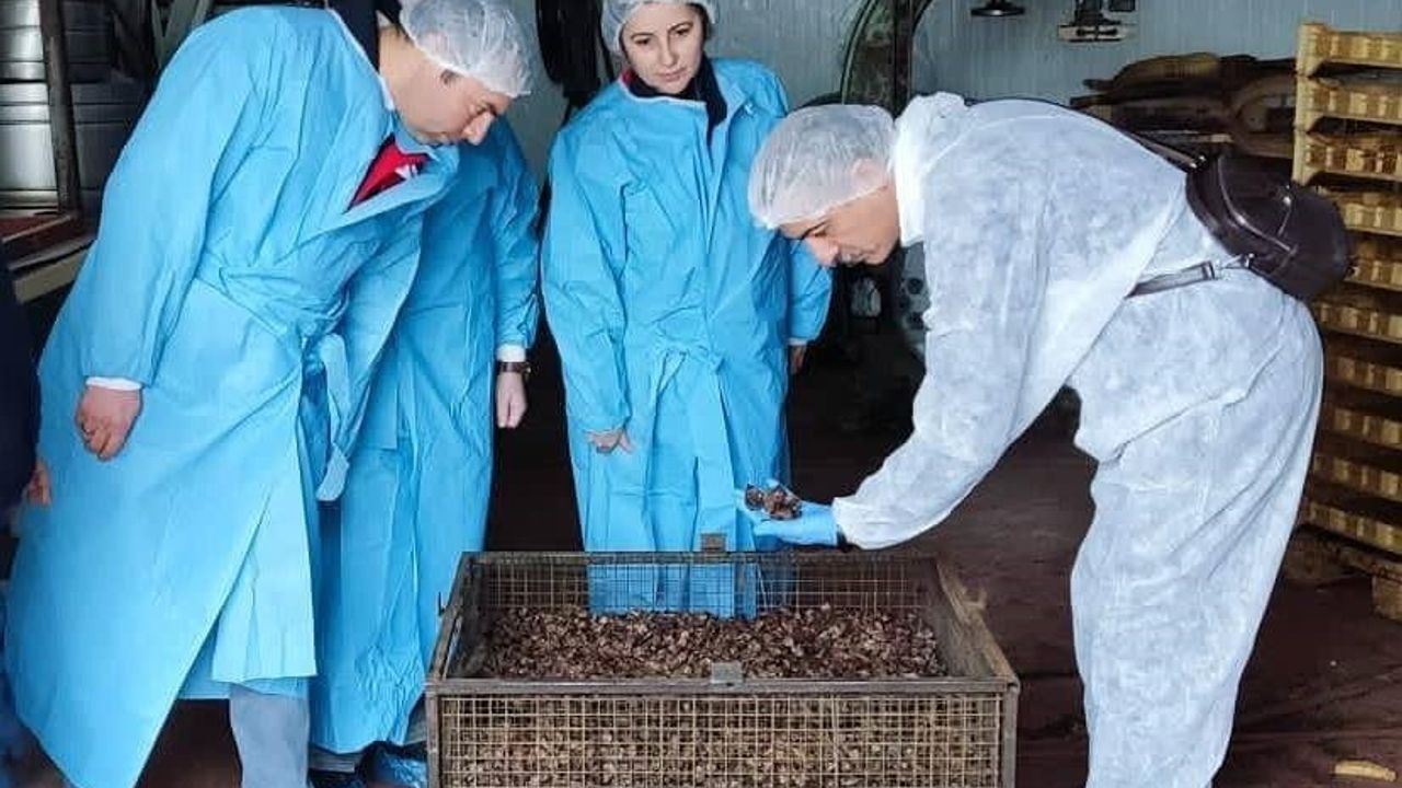 Afyonkarahisar'da köpek maması hammaddesi üretim tesisinde resmi denetim