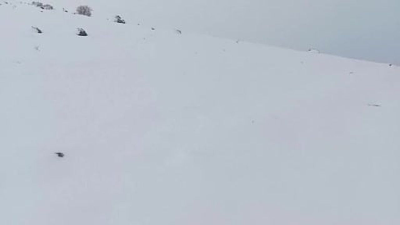 Afyonkarahisar’da yüksek kesimlerde kar yağışı etkili oldu