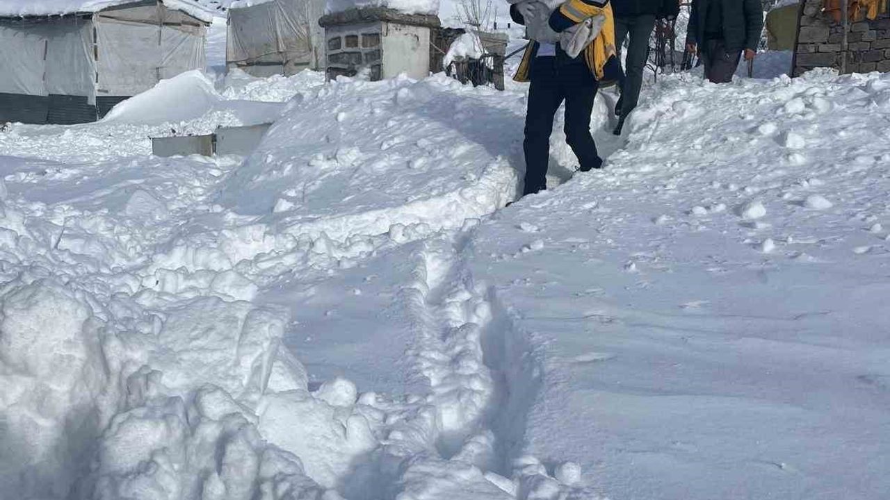 Ağrı'nın Eleşkirt ilçesinde sağlık ekipleri evde doğum gerçekleştirdi