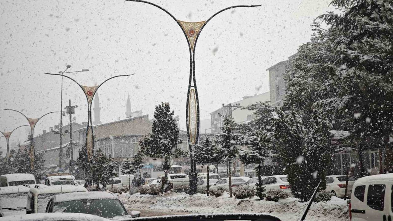 Ahlat'ta yoğun kar yağışı - Meteoroloji uyardı