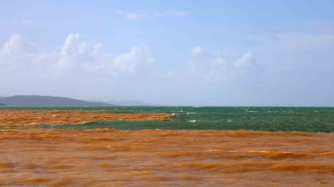 Akyaka'da sağanak sonrası denizin rengi kahverengiye döndü