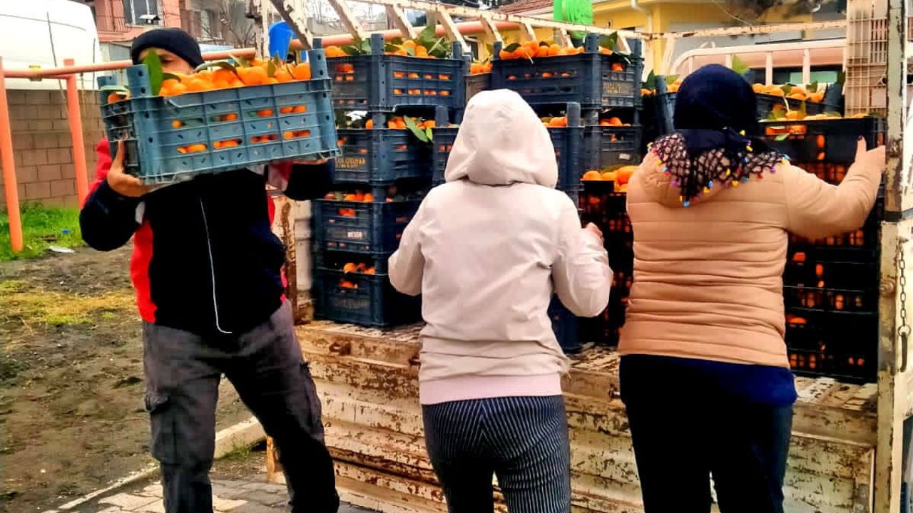 Alaçatı Gıda Topluluğu'ndan Hatay'a Dayanışma: 'Dalından Sofraya, El Birliğiyle Hatay’a' Kampanyası