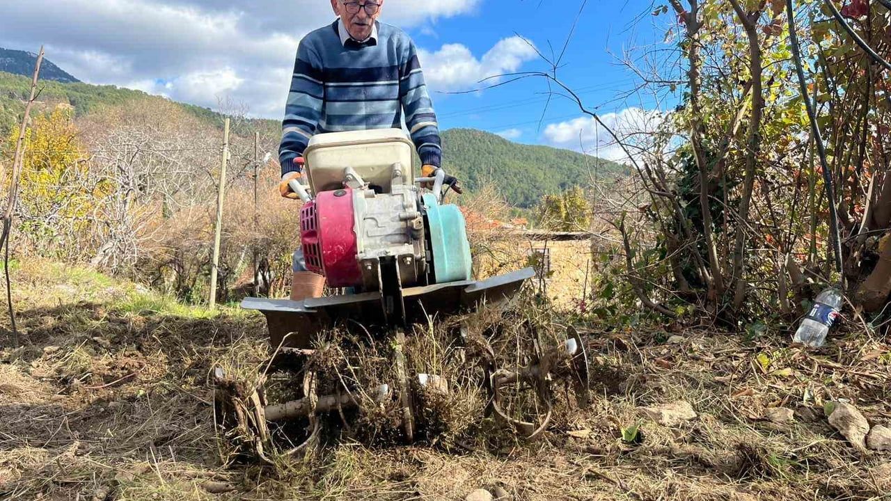 Alanya’da 82 yaşındaki yeminli mali müşavirden köy yaşamını teşvik eden tarım projesi