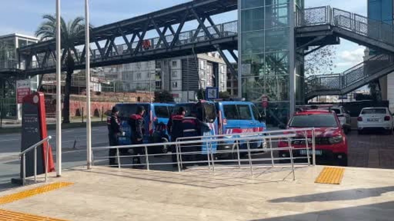 Alanya'da avokado hırsızlığı: 3 şüpheli jandarma ekiplerince yakalandı