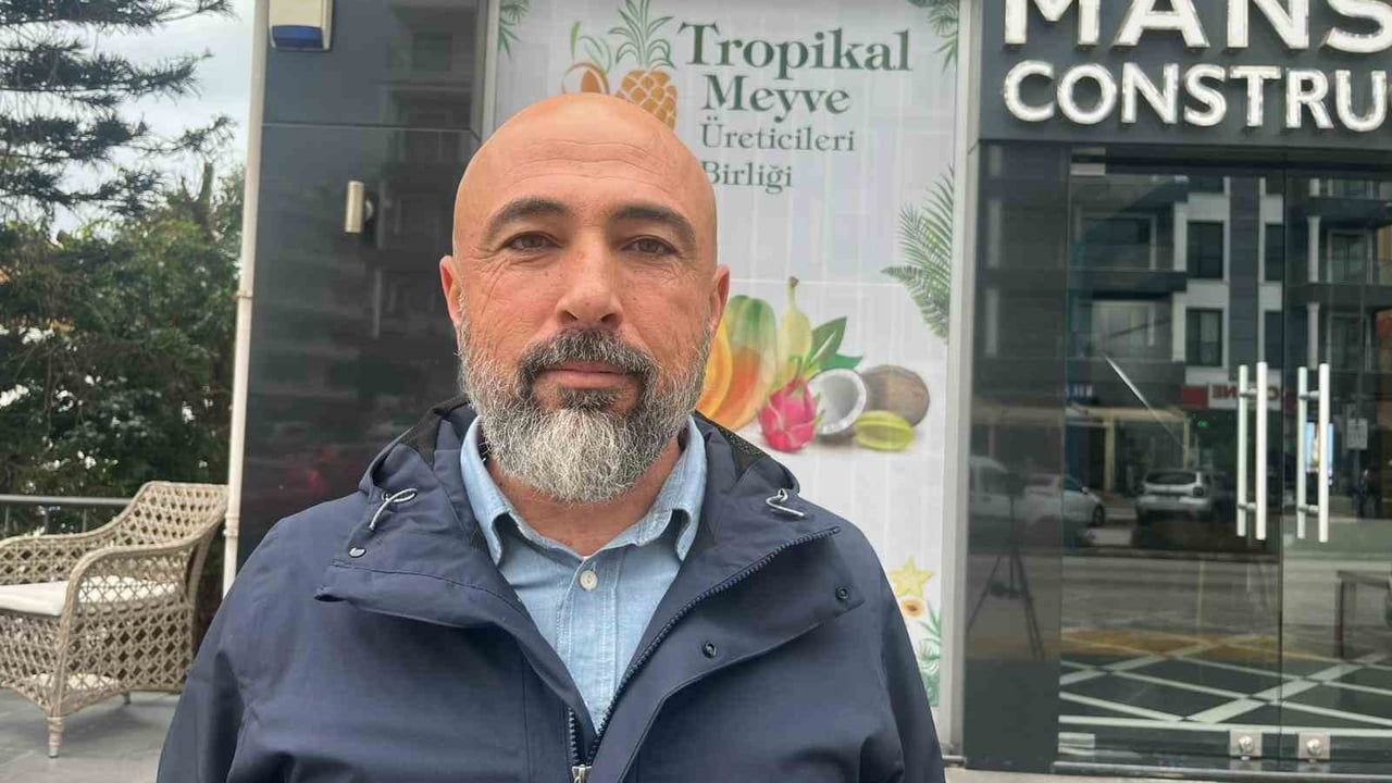 Alanya, Türkiye’nin Muz İhtiyacının Yüzde 40’ını Karşılıyor