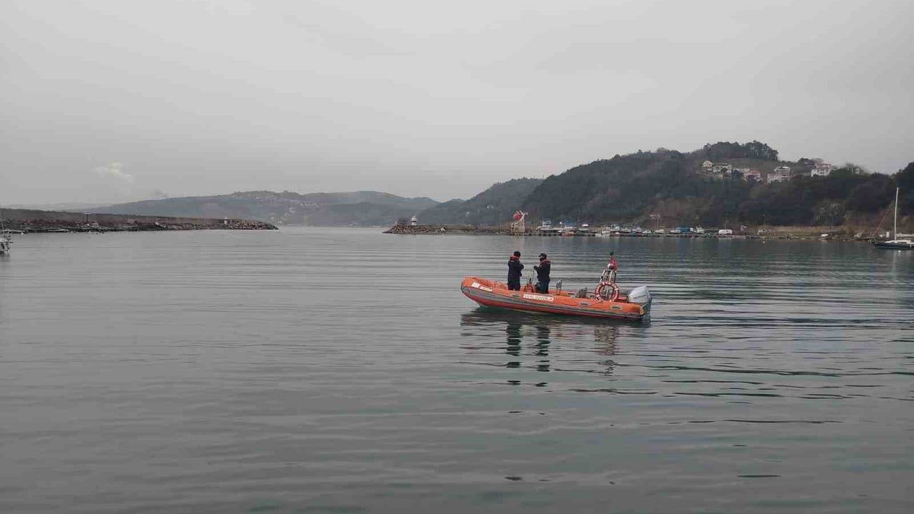 Alaplı Balıkçı Limanı'nda Mahsur Kalan Yunus, Sahil Güvenlik Ekiplerince Kurtarıldı