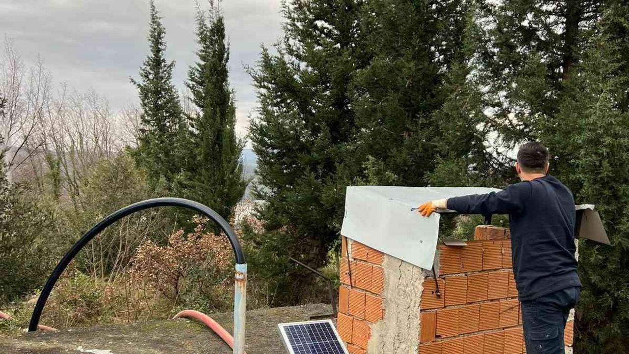 Alaplı'da dereye atılan ölü tavuklar nedeniyle 8 köyün içme suyu geçici olarak kesildi