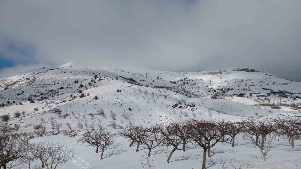 Alaşehir'de kar ve yağmur çiftçiye umut oldu