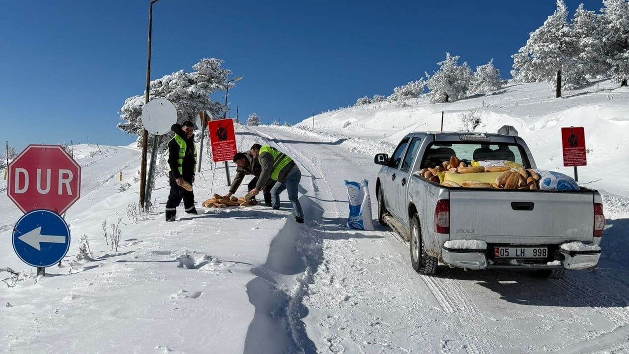 Amasya Merzifon'da kar sonrası yaban hayatına destek: Ormanlık alanlara yem bırakıldı