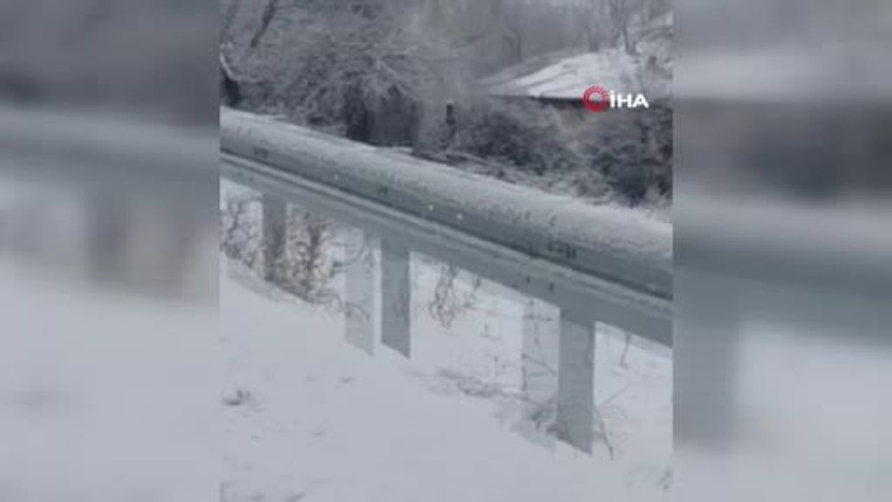 Ankara Akyurt’ta Kar Yağışının Ardından Karaca Sürüleri Yol Geçişinde Görüntülendi