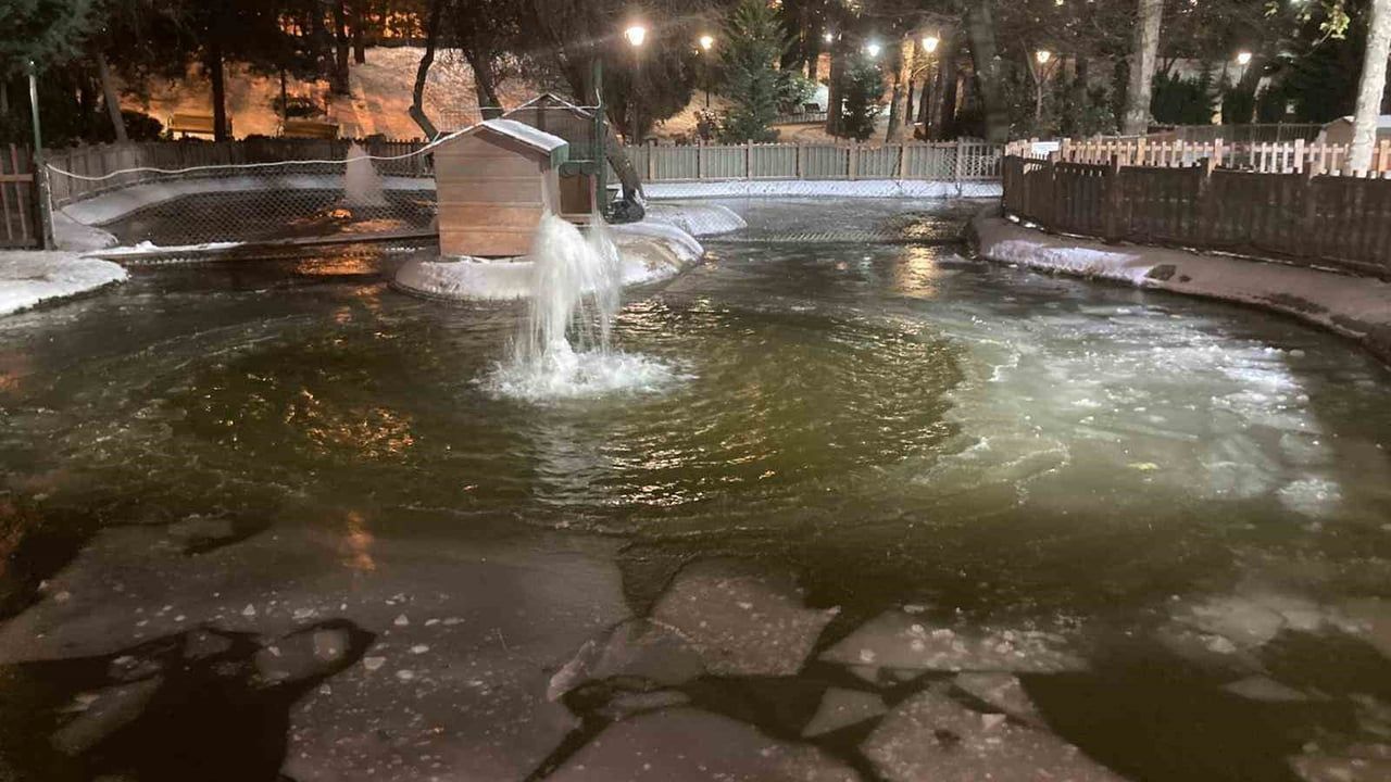 Ankara'da kar sonrası sıcaklık eksi 11'e düştü, Kuğulu Park havuzunda donma görüldü