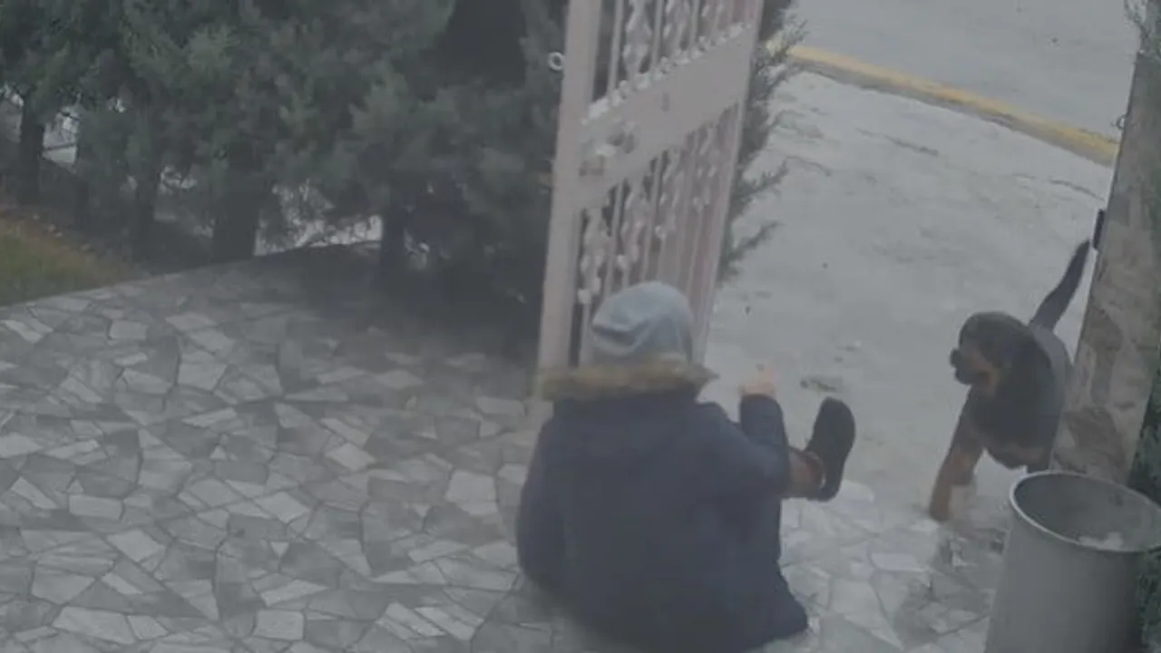 Ankara Elmadağ'da sahipsiz köpek saldırısı: Komşuların müdahalesiyle kadın kurtarıldı