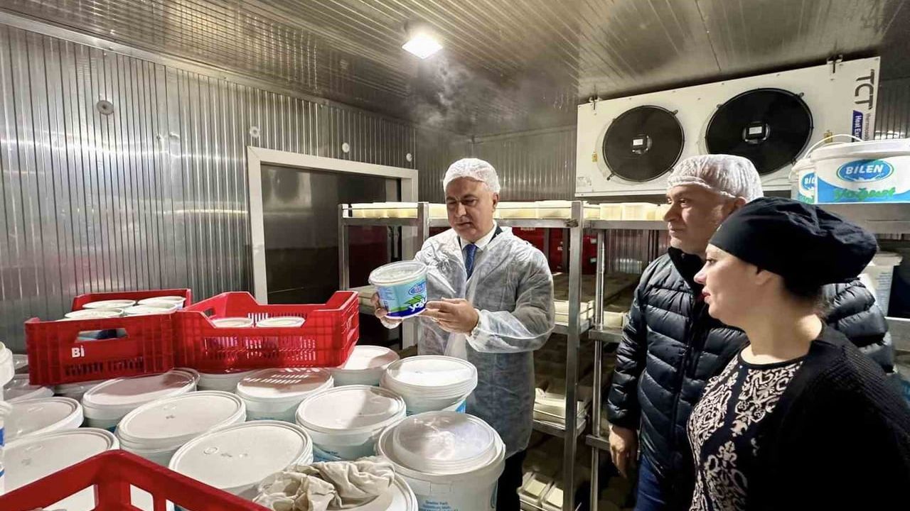 Antakya'da süt ürünleri üretim tesisine üretim, hijyen ve kalite incelemesi