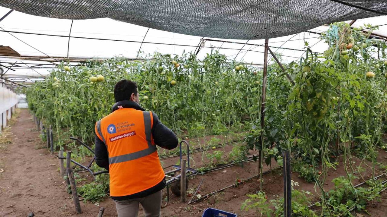Antalya Büyükşehir, Kumluca, Kaş ve Serik'te 22 Ocak seli sonrası hasar tespit çalışmalarına başladı