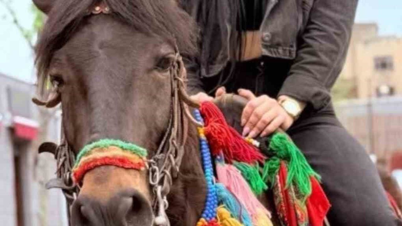 Antalya'da 3 aylık evli Helin K.'nın ölümü: Ağabey 'İntihar değil, adalet istiyoruz'