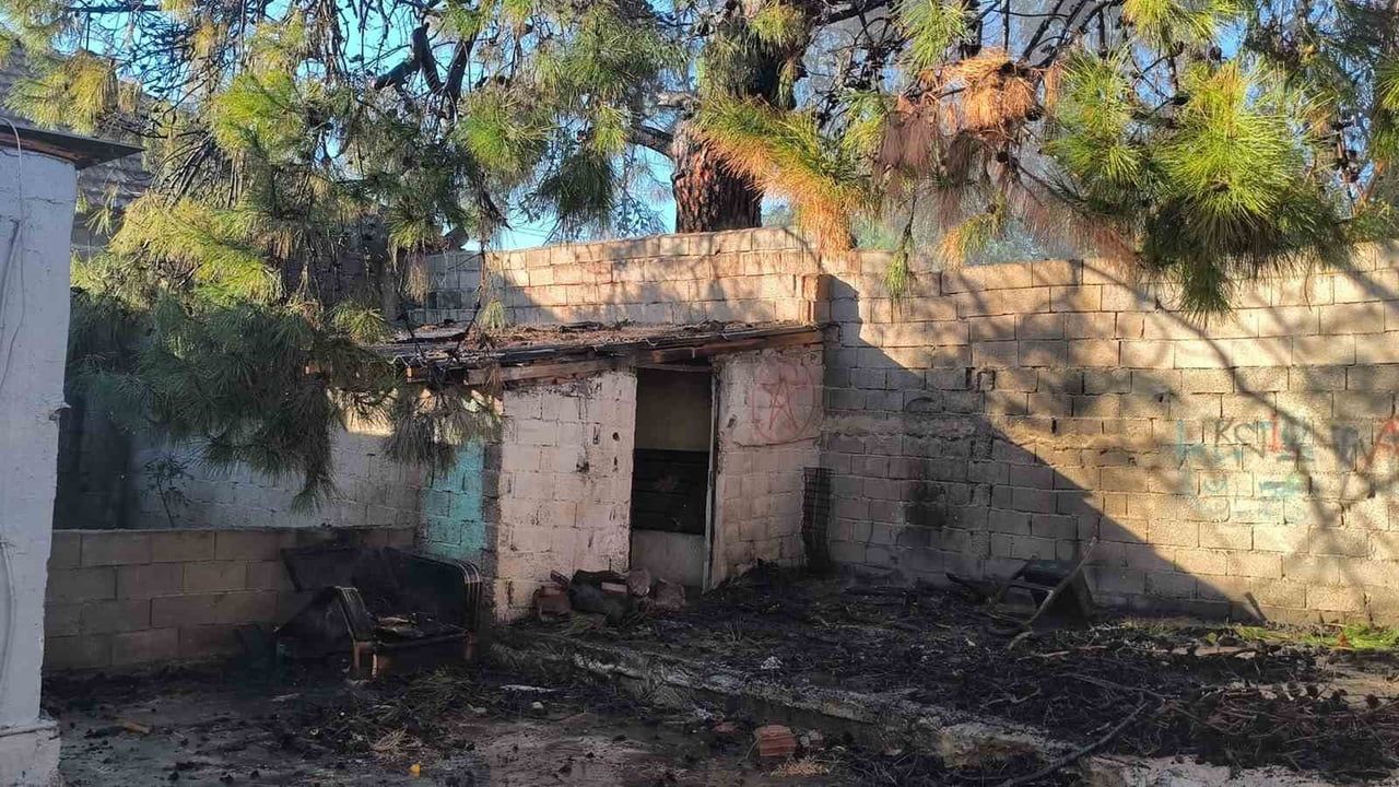 Antalya'da bahçede yakılan ateş çam ağacına sıçradı; mahalle sakinleri hortumlarla müdahale etti