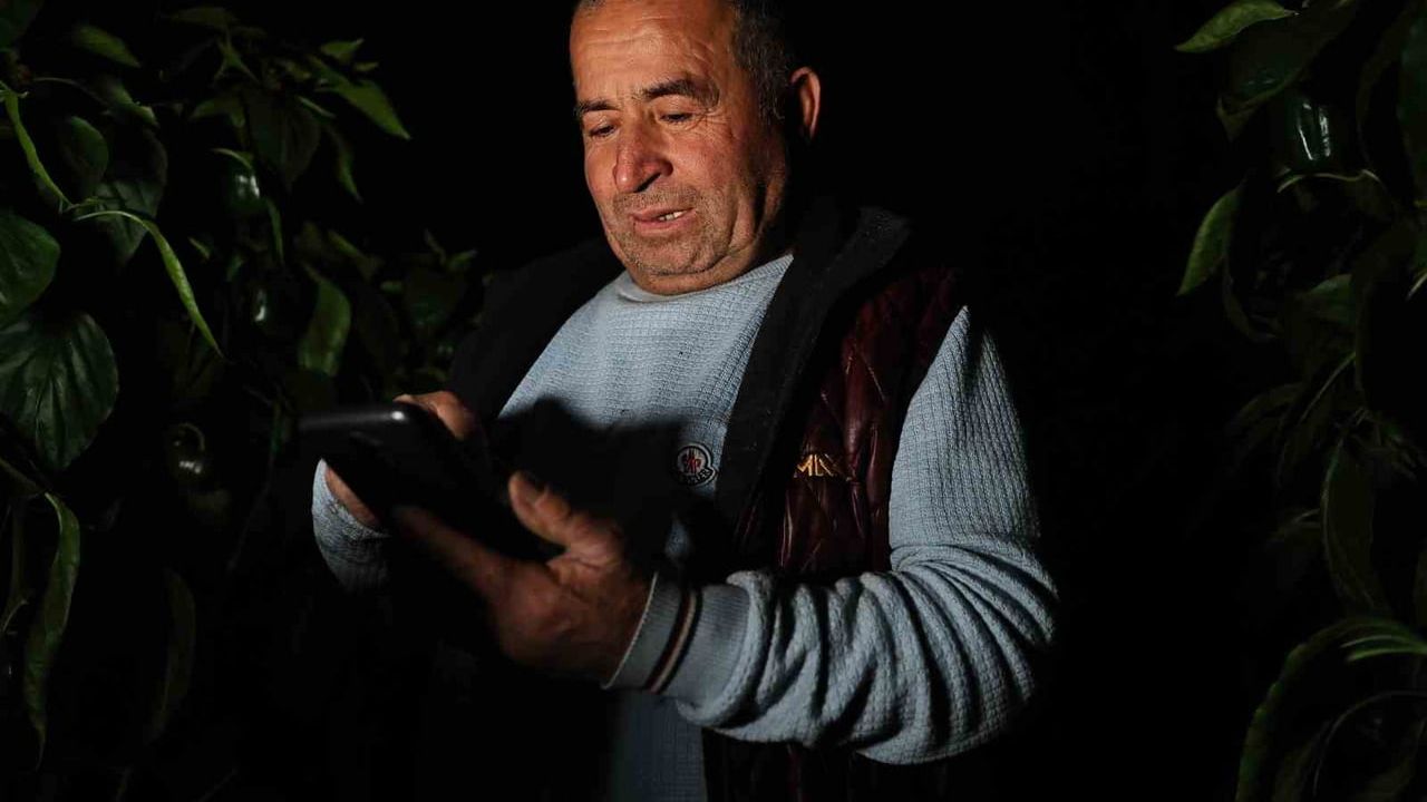 Antalya'da seralarda dona karşı dijital izleme: Sıcaklık ve nem cep telefonundan anlık takip ediliyor