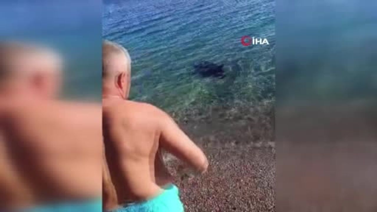 Antalya Konyaaltı Sahili'nde oltaya takılan erkek cesedi: Kimlik 23 yaşındaki İbrahim Ethem Uysal