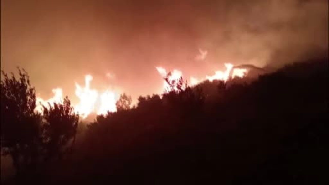 Antalya Serik'te orman yangını: Ekipler müdahale ediyor, yaşlı çift tahliye edildi