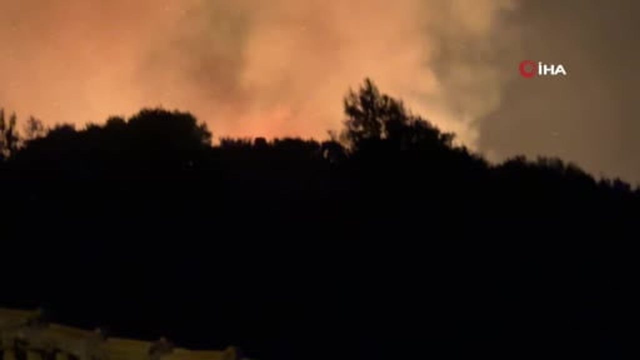 Antalya Serik’te Orman Yangını Kontrol Altına Alındı — Yaklaşık 2 Hektar Etkilendi