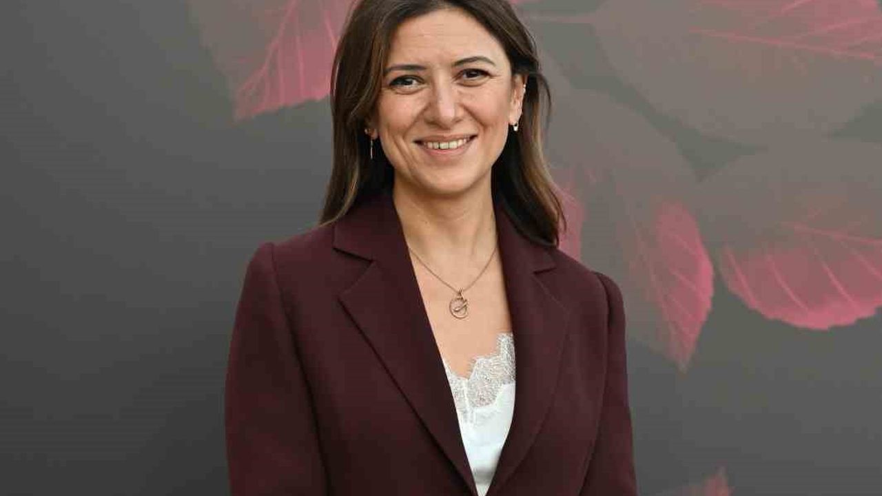 Aralık 2025 Raporu: Ücret, Yan Haklar ve Eğitimde Yeni Öncelikler