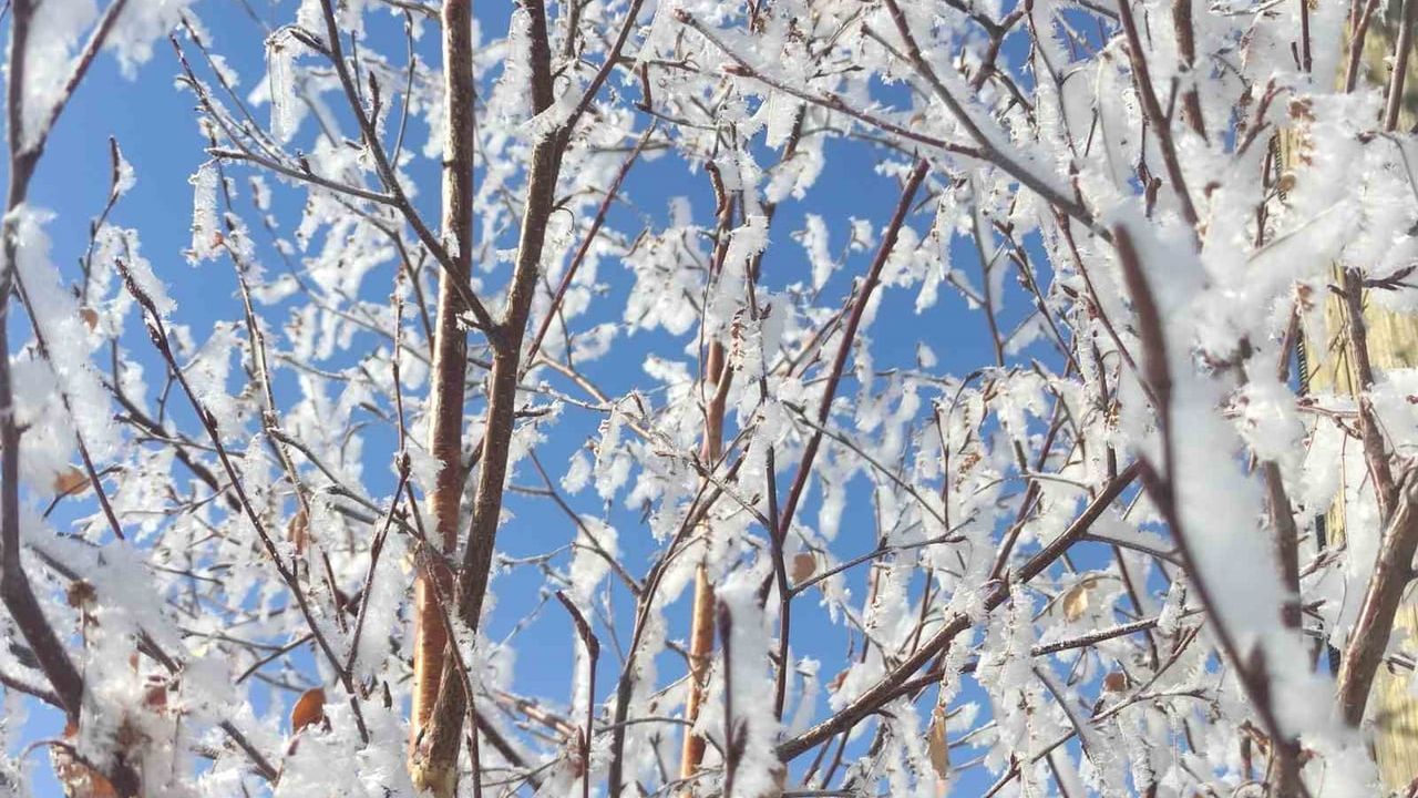 Ardahan'da Sibirya soğukları etkisini sürdürüyor: Göller ve nehirler dondu