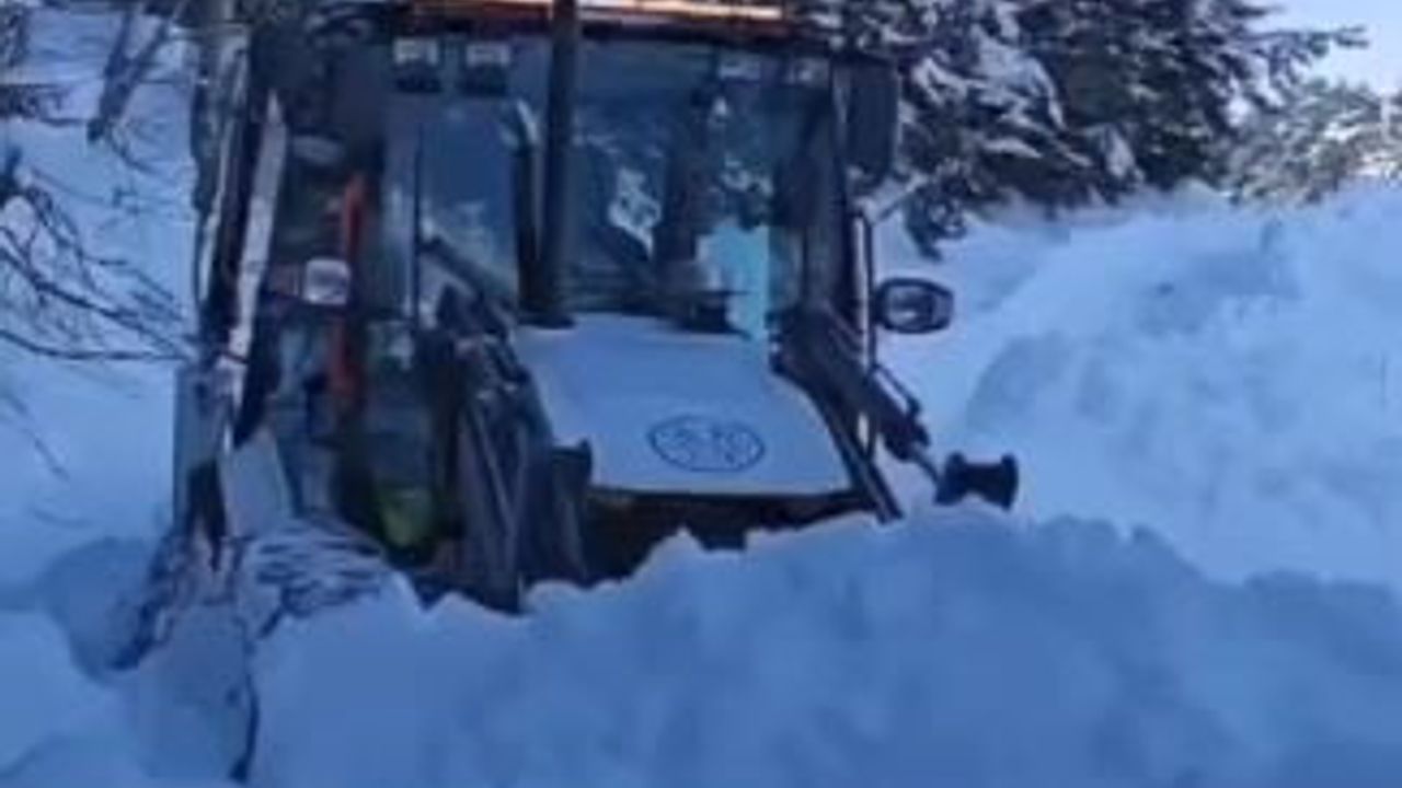 Artvin'de 130 köy yolu kar nedeniyle ulaşıma kapandı