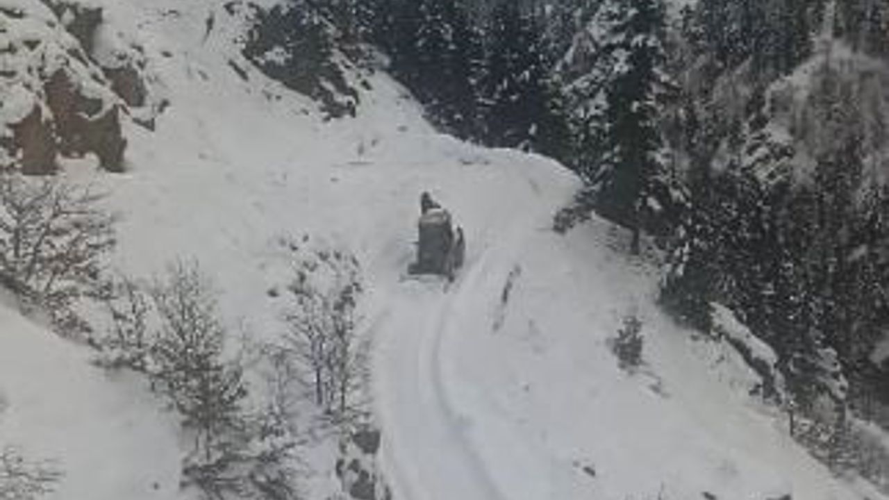 Artvin'de aralıksız kar: 6 ilçede 120 köy yolu ulaşıma kapandı