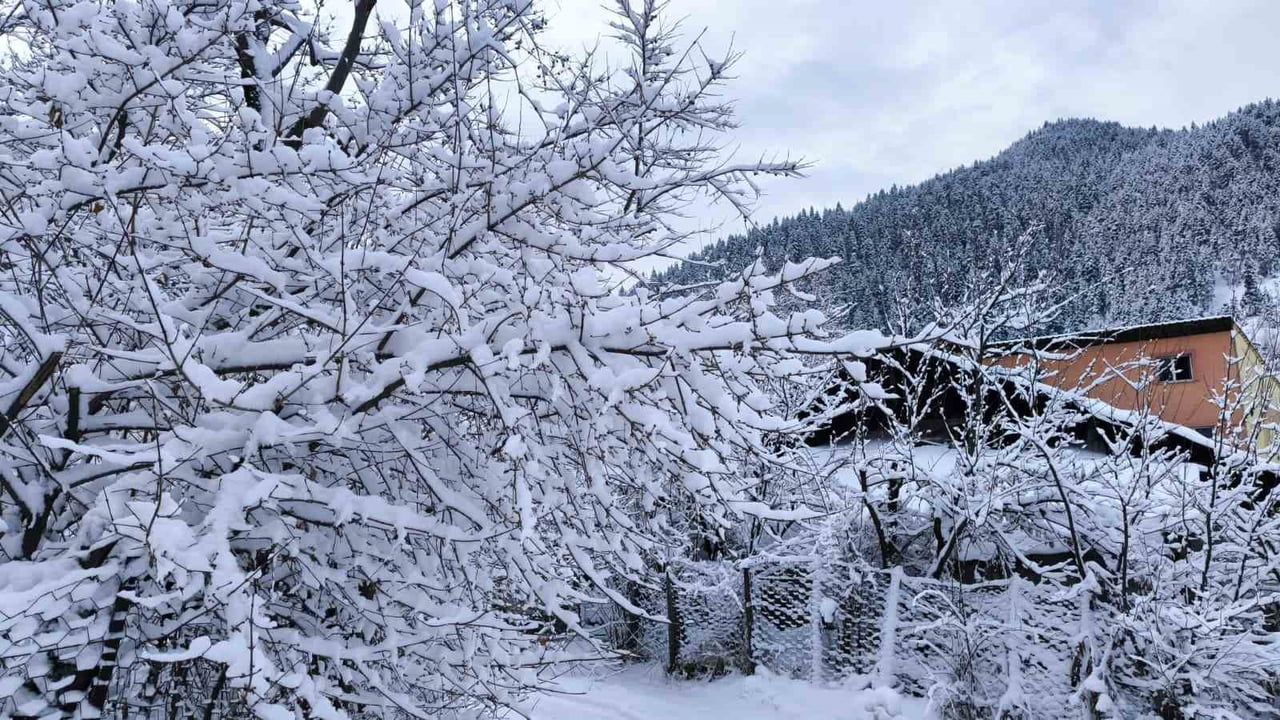 Artvin'de kar yağışı 34 köy yolunu ulaşıma kapattı; Şavşat'ta taşımalı eğitime 1 gün ara