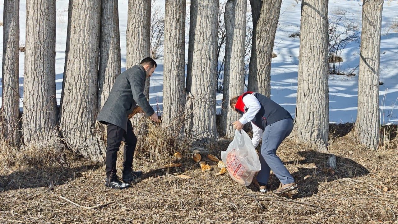 Aşkale'de Yaban Hayvanlarına Kış Dönemi Yem Desteği
