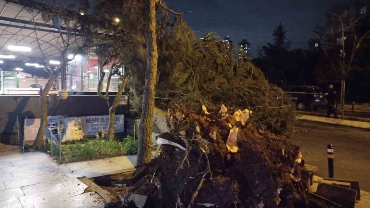 Ataşehir'de fırtına: Barajyolu Caddesi'nde ağaç devrildi