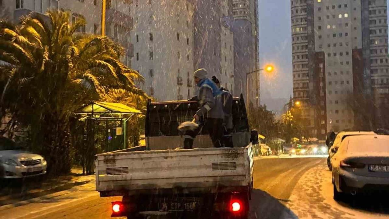 Ataşehir'in 'Beyaz Tim'leri 7/24 karla mücadelede — 74 araç, 195 personel sahada
