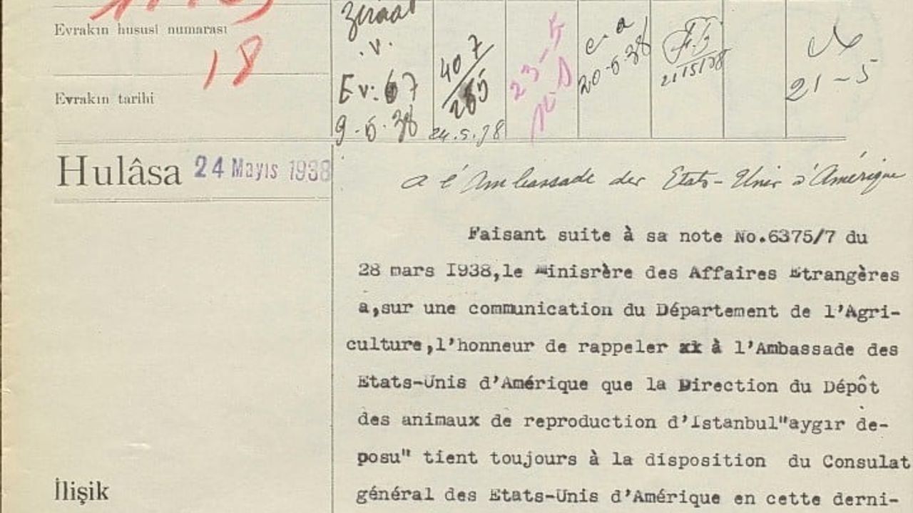 Atatürk Onayıyla Erzurum'dan ABD'ye Gönderilen Çoban Köpekleri: Karabaş, Fındık ve Joe