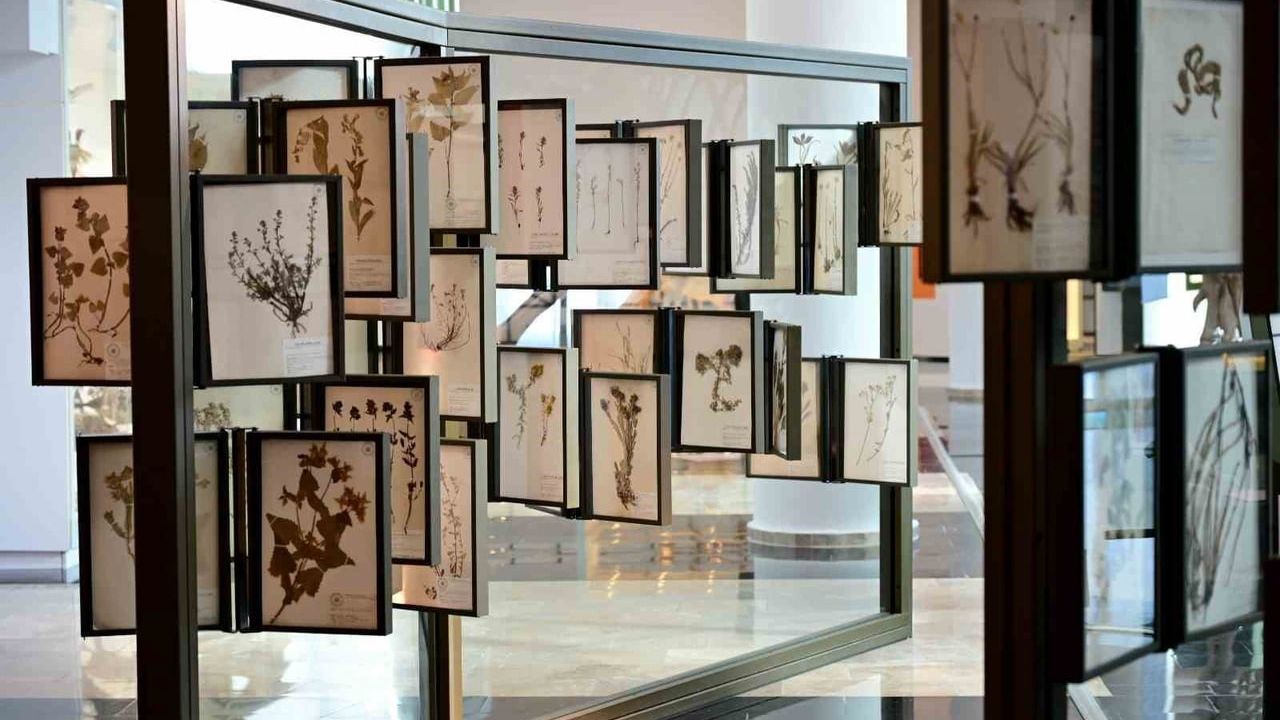 Atatürk Üniversitesi Biyoçeşitlilik Bilim Müzesi, Anadolu’nun genetik mirasını koruyor