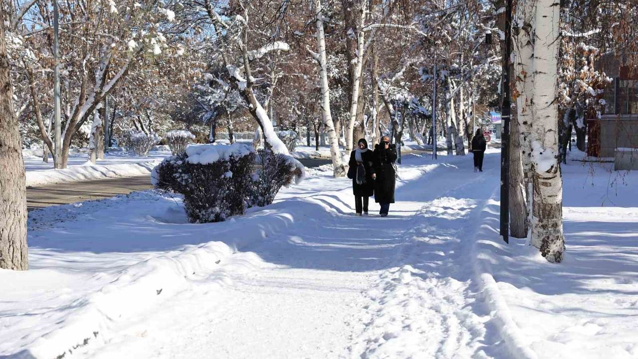 Atatürk Üniversitesi kampüsünde kar temizleme çalışmaları aralıksız sürüyor